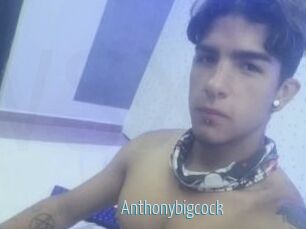 Anthonybigcock