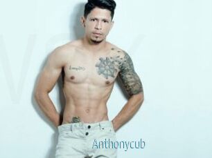 Anthonycub