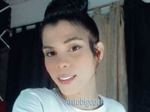 Antobigcock