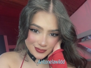 Antonelawildd