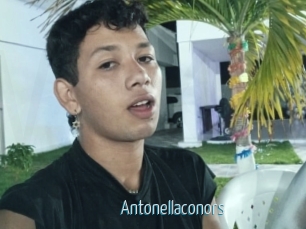Antonellaconors
