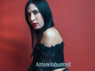 Antonellahumbolt