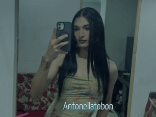 Antonellatobon