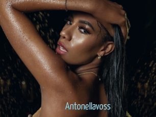 antonellavoss Video Sexe