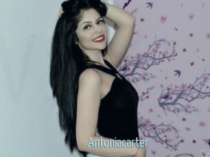 antoniacarter Video Sexe