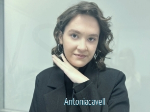 Antoniacavell
