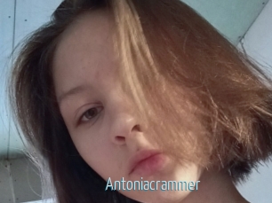 Antoniacrammer