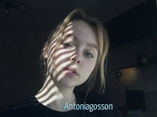 Antoniagosson