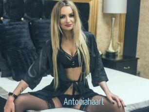 Antoniahaart