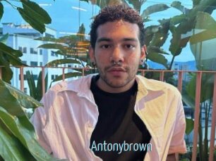 Antonybrown