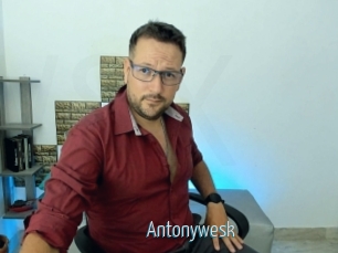 Antonywesk