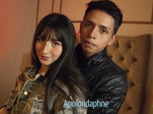 Apolondaphne