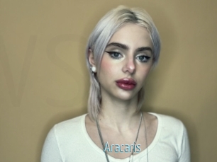 Aracaris