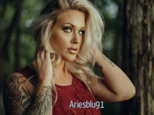 Ariesblu91