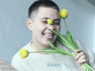 Aririos