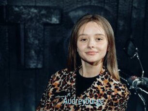 Audreyburge