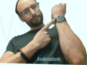 Avalonadonis