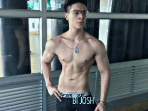 BI_JOSH