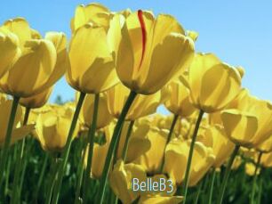BelleB3 Video Sexe