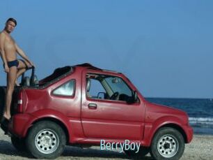 BerryBoy