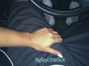 BigBoyLittleDick