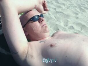 Bigbyrd