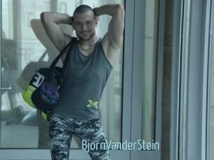 BjornVanderStein