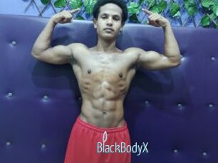 BlackBodyX