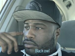 Black_owl