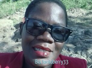 Blackwildberry33
