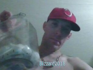 Blizzard2018