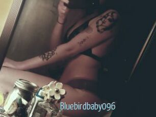 Bluebirdbaby096