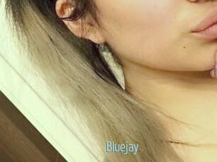 Blue_jay