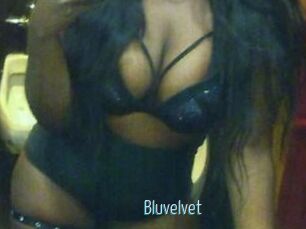 Bluvelvet