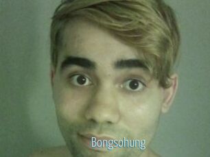 Bongsohung