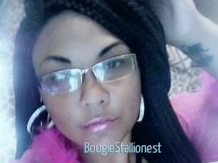 BougieStallionest