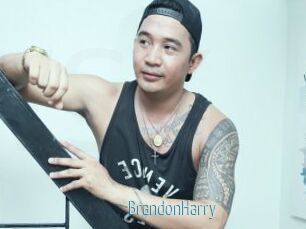 BrandonHarry