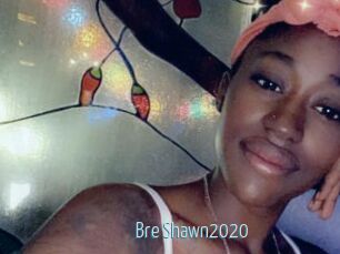Bre_Shawn2020