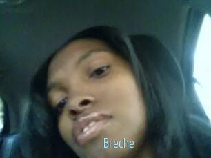 Breche