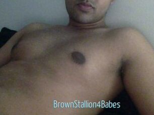 BrownStallion4Babes