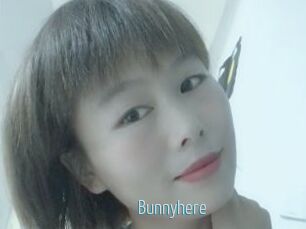 Bunnyhere