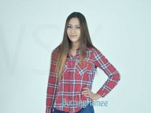 BurningFlamee