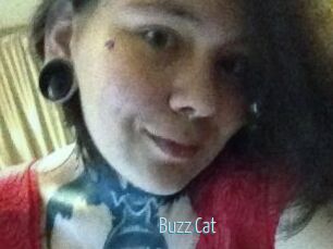 Buzz_Cat