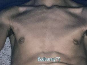 Badbunny75