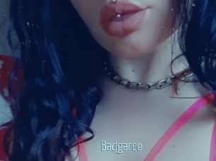 Badgarce