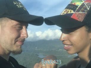 Bandb423