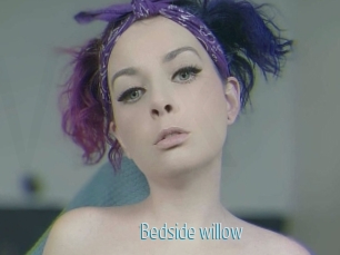 Bedside_willow