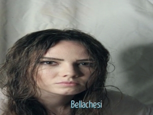 Bellachesi