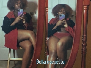 Bellarosepotter