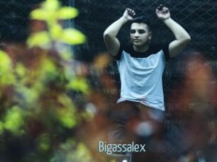 Bigassalex